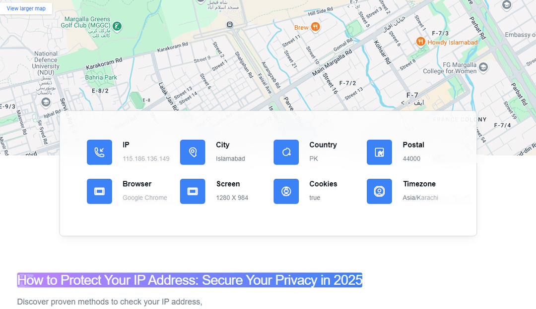Insta-IP Check My IP button example